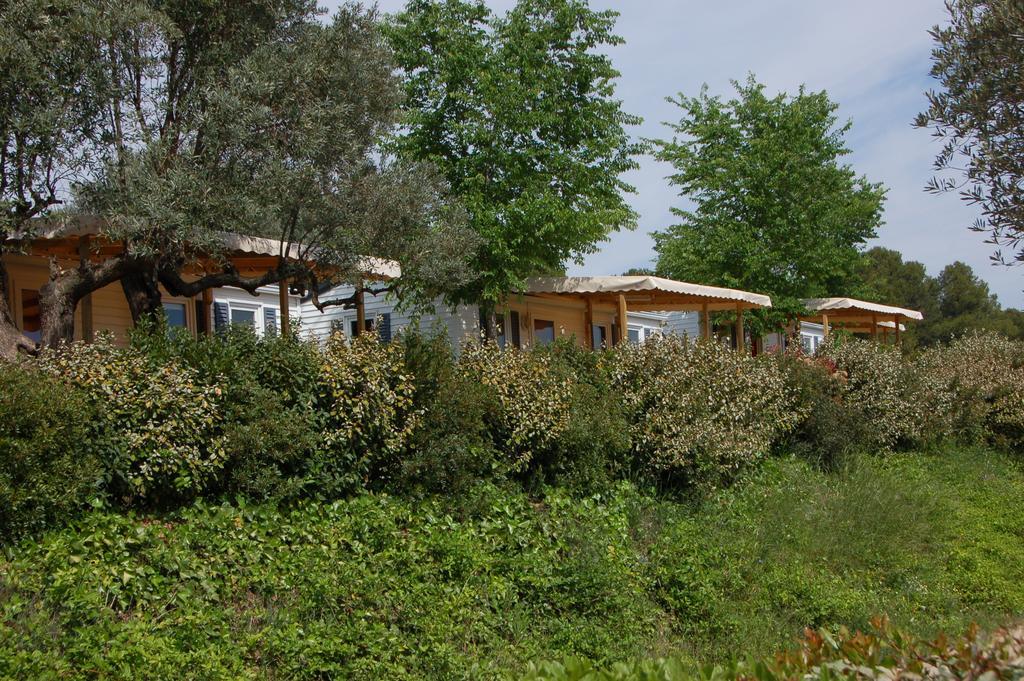 Camping Terra Alta Bot ภายนอก รูปภาพ
