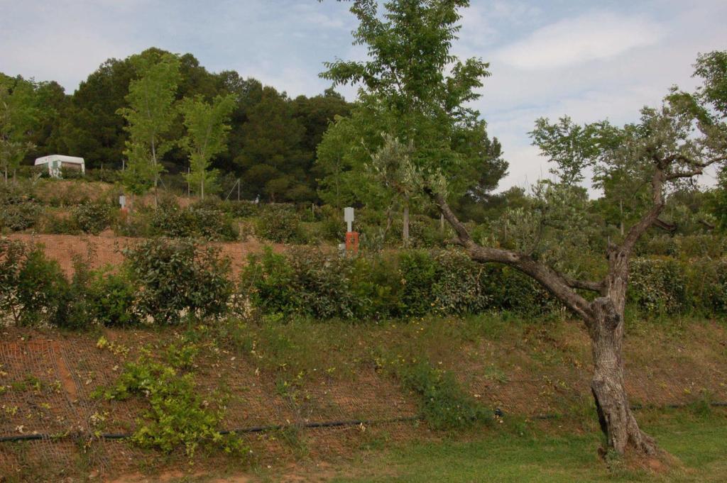 Camping Terra Alta Bot ภายนอก รูปภาพ